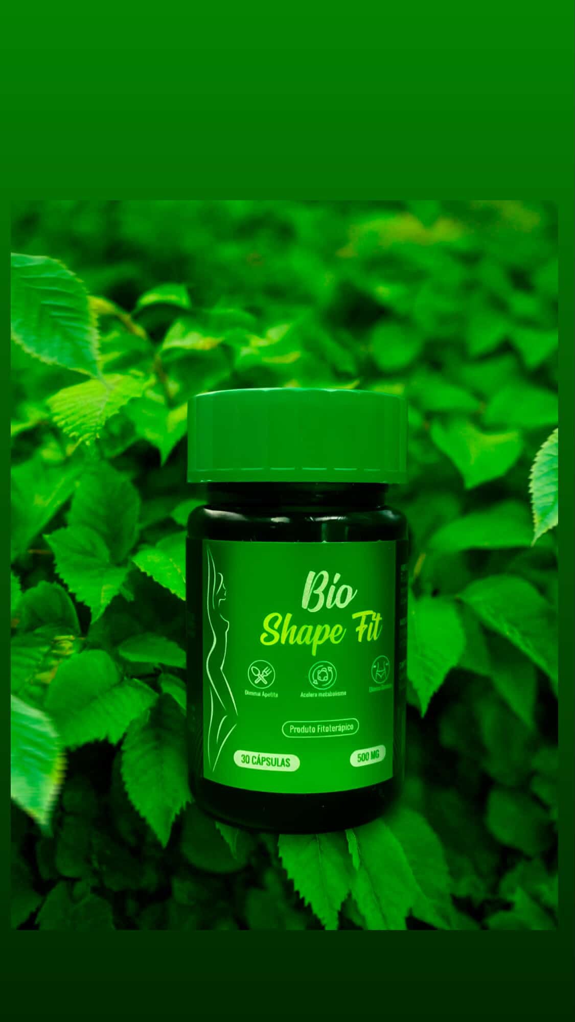 Bio Shape Fit (Tradicional)